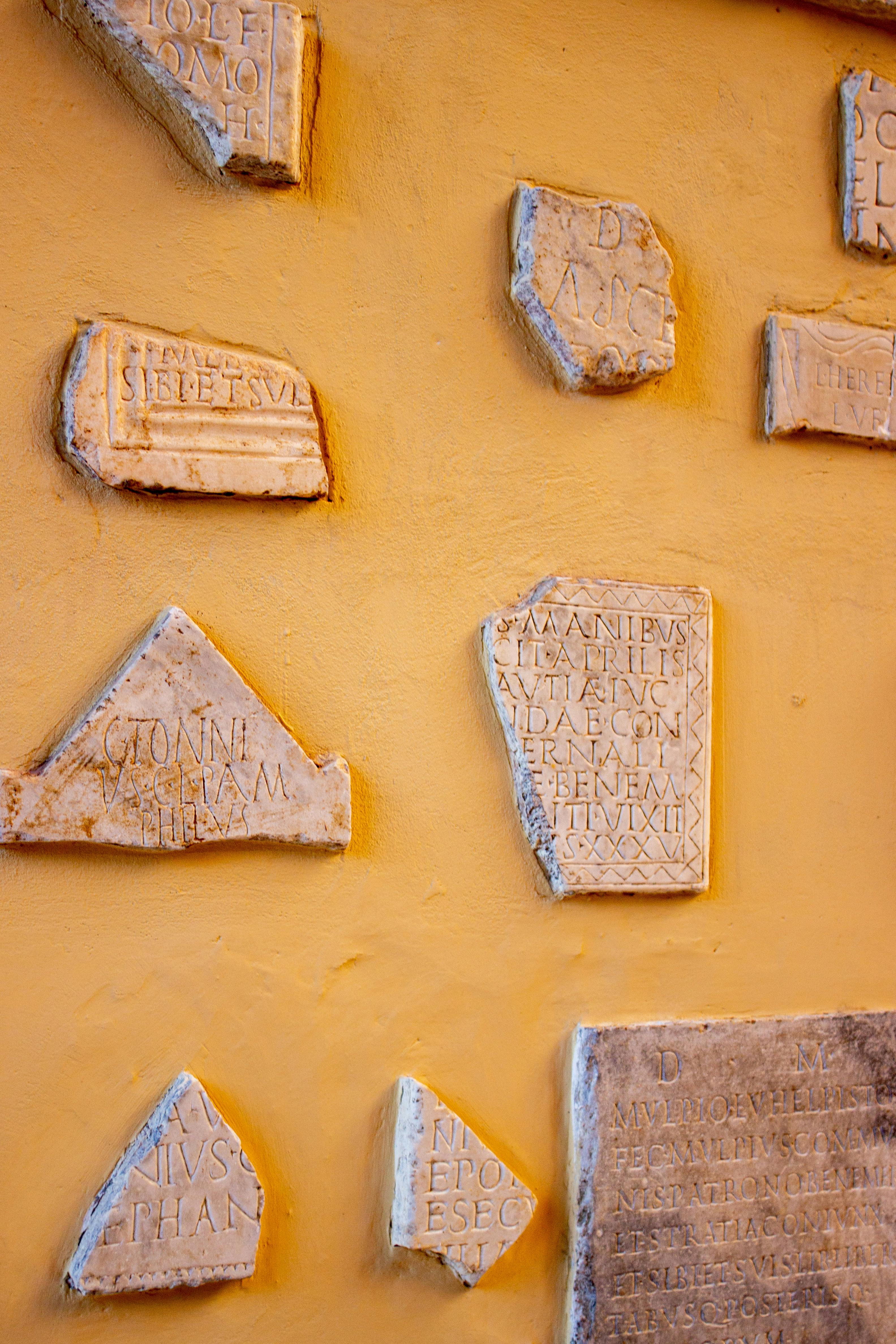 Фонетика латинского языка